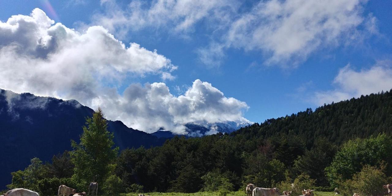 Готель Bordes Pirineu, Costuix Areu Екстер'єр фото